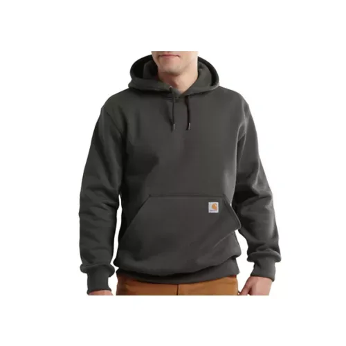 Men's Carhartt Rain Defender Loose Fit Heavy Weight Hoodie #100615